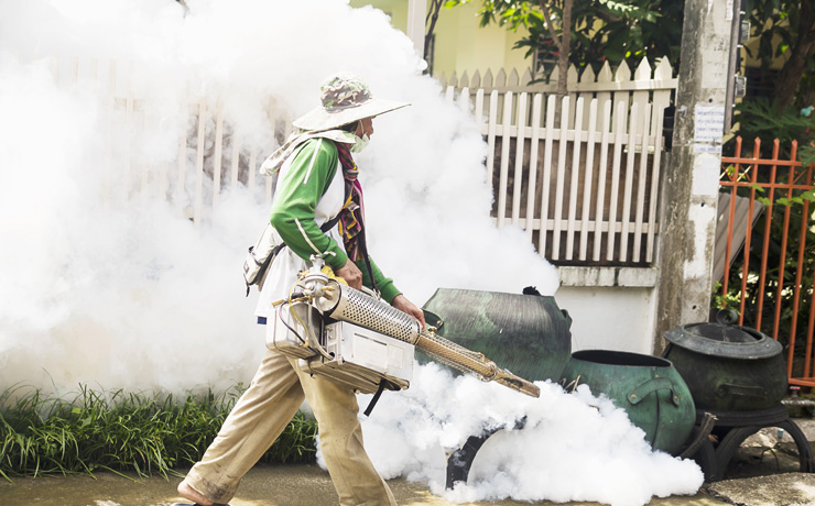 Fumigation Services